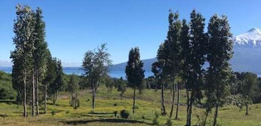 Preciosa Parcela, camino Ensenada