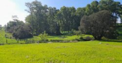 Exclusiva Parcela 5.000 m2  LOS SENDEROS DE PILAUCO