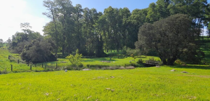 Exclusiva Parcela 5.000 m2  LOS SENDEROS DE PILAUCO