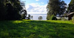 espectacular Parcela a orilla de Lago Puyehue