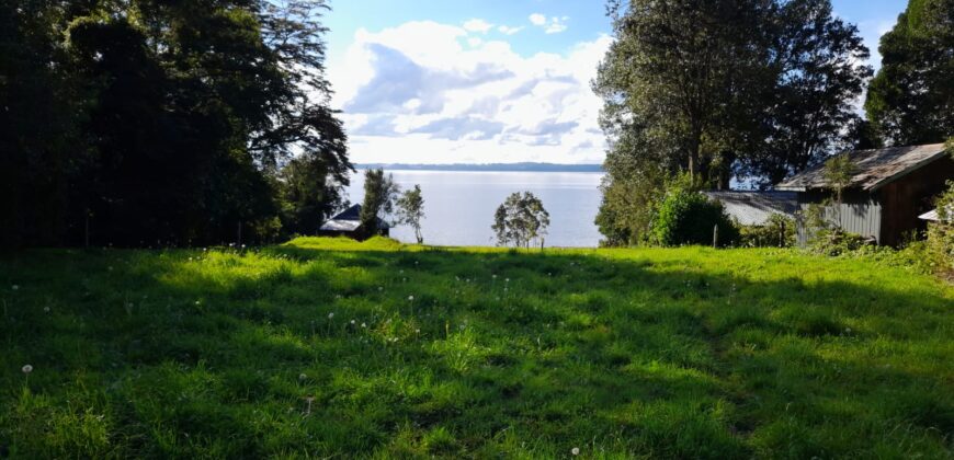 espectacular Parcela a orilla de Lago Puyehue