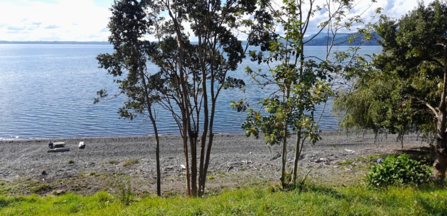 espectacular Parcela a orilla de Lago Puyehue