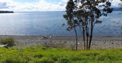 espectacular Parcela a orilla de Lago Puyehue