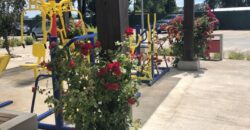 Excelente distribución en 2D/ 2 B Av. Francia en Osorno
